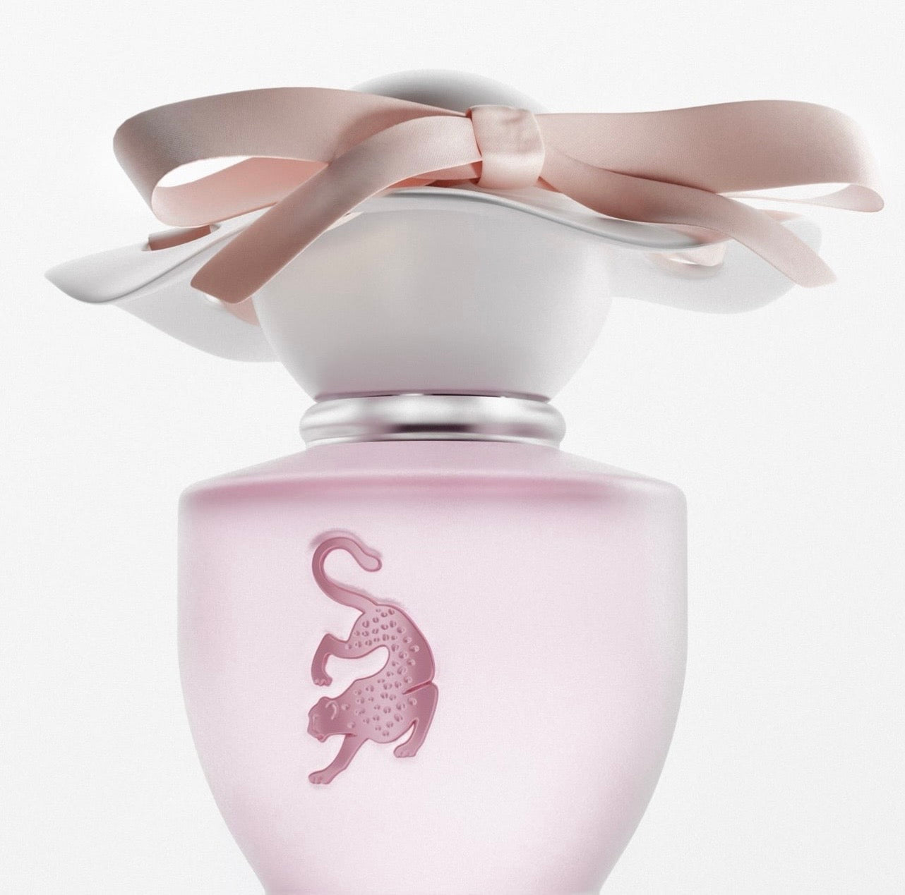 عطر قلامور من لافيرن