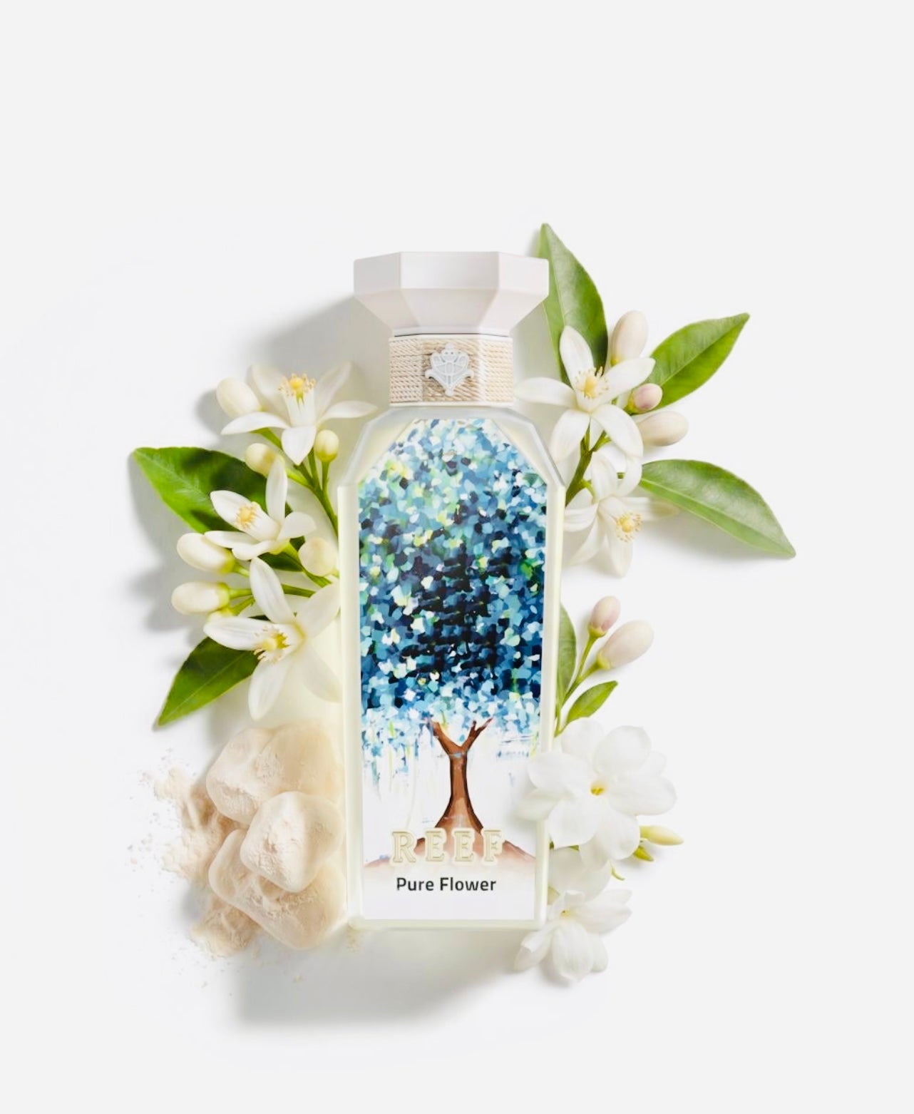 عطر بيور فروتي من ريف