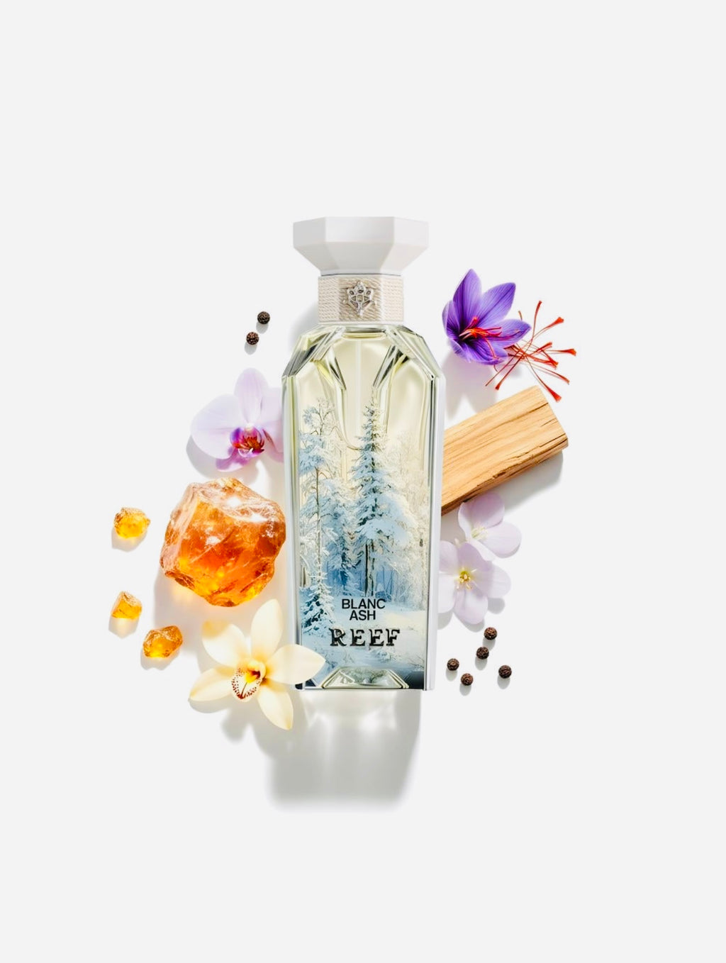 عطر بلانك آش ريف