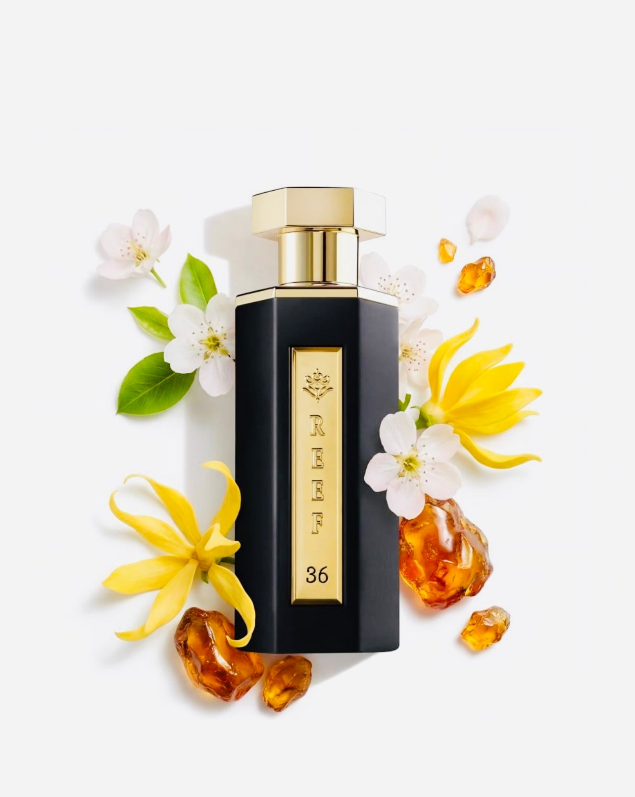عطر ريف 36