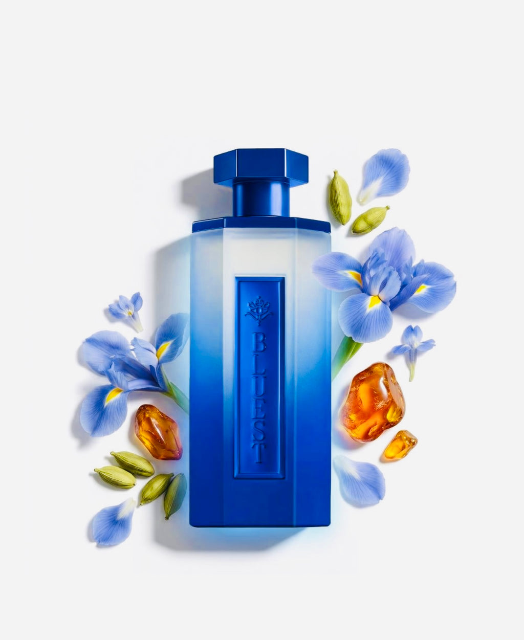 عطر بلويست ريف