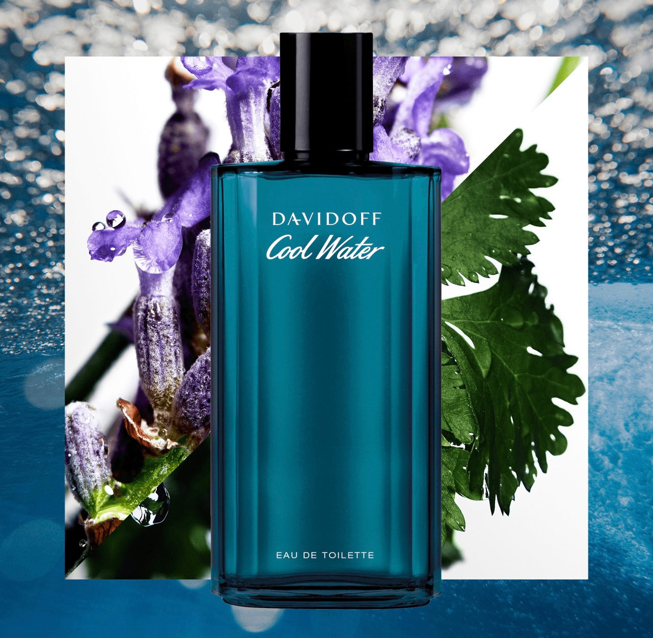 عطر كول ووتر من دافيدوف فنتازيا ستور