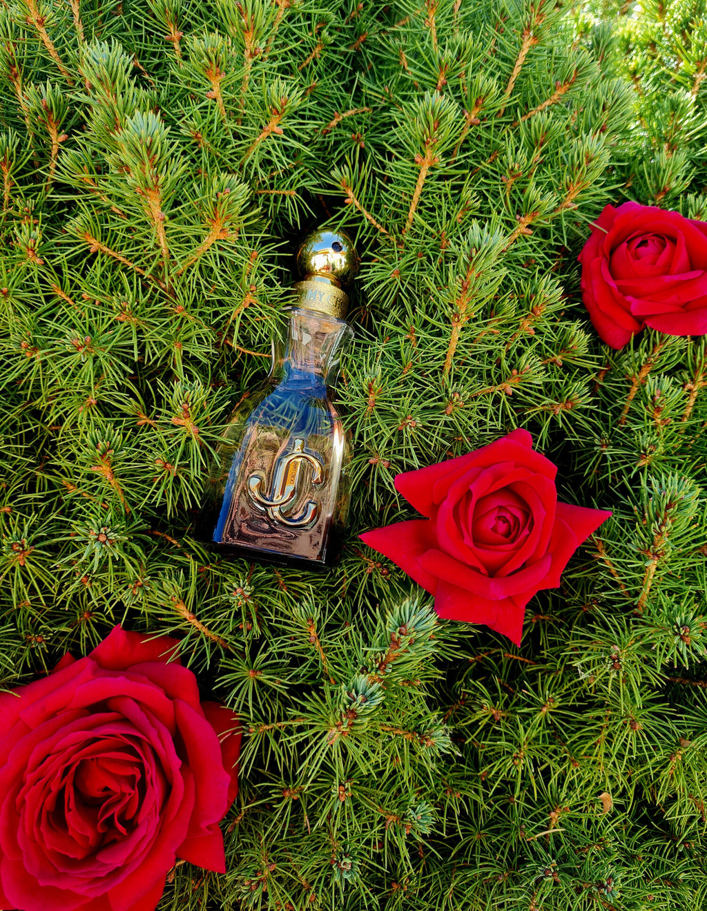 عطر جيمي شو الجديد I Want Choo Forever للنساء -100مل فنتازيا ستور