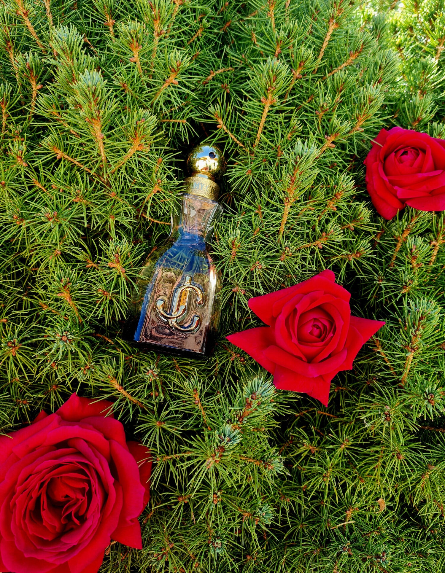 عطر جيمي شو الجديد I Want Choo Forever للنساء -100مل فنتازيا ستور
