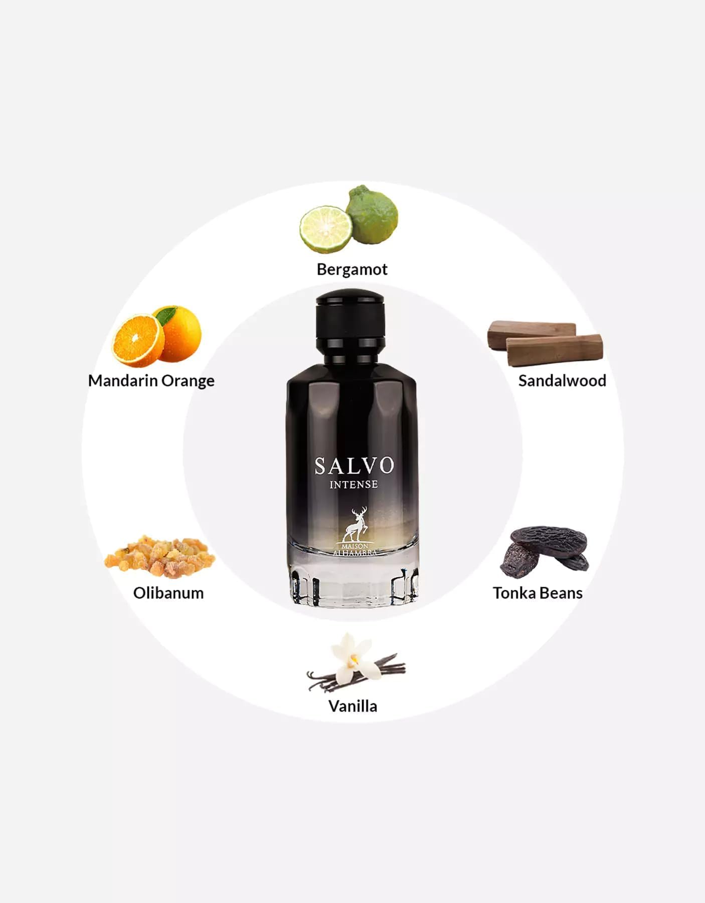 عطر سالفو إنتنس أو دي بارفان الهمبرا
