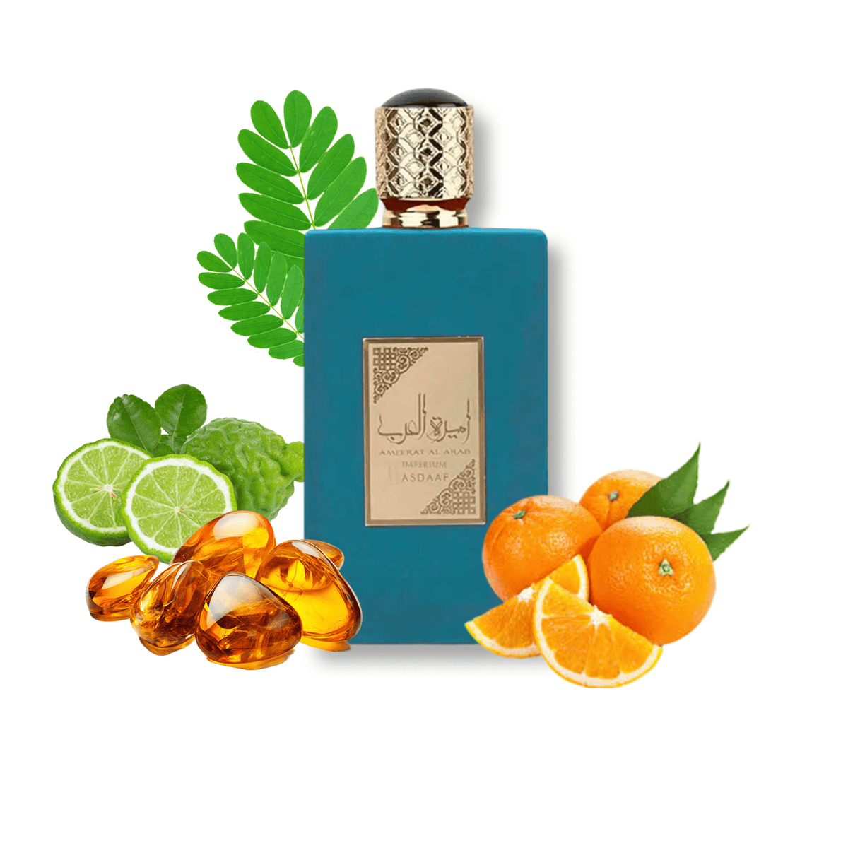 عطر أصداف أمير العرب