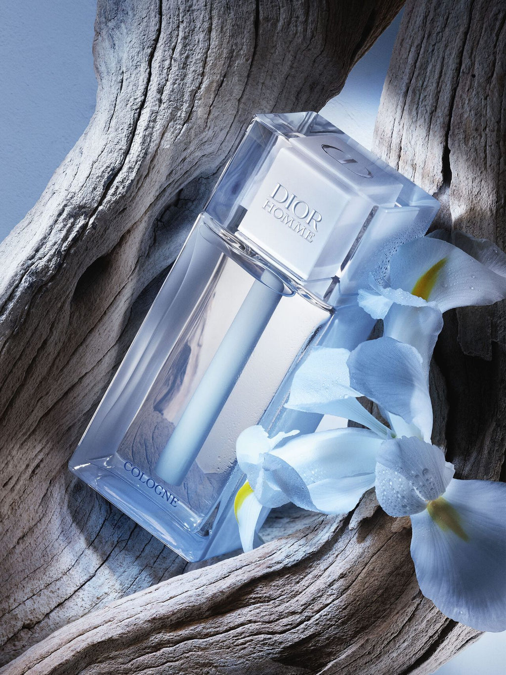 Dior Homme Cologneعطر ديور هوم كولاجين