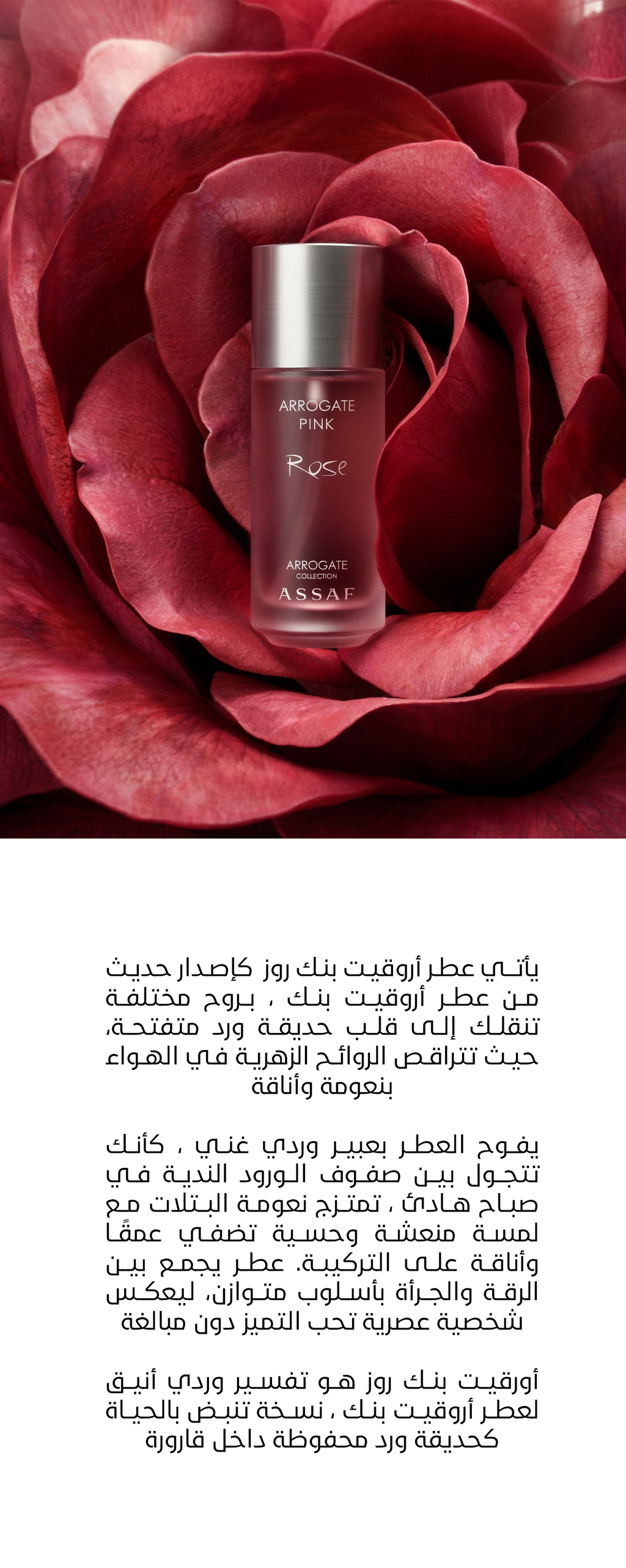 عطر اروقيت بينك روز عساف